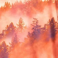 Terry Henley Bike Jersey - Women's 13 Terry Henley Bike Jersey - Women's -Cheap ALPS Mountaineering Store ff623781 3bd8 45ec bdc0 85ed61094552